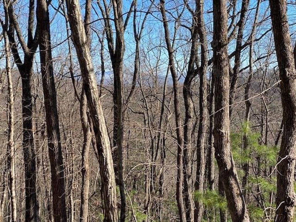 5.91 ac Sunrock Mtn Trace, Blue Ridge, GA 30513