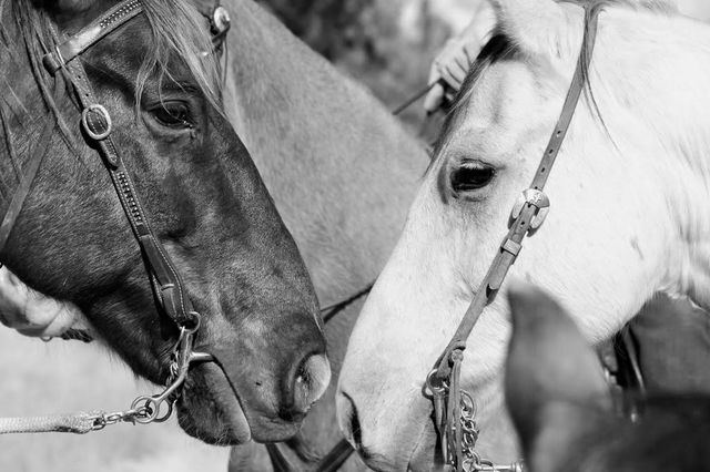 5901 Williams Boulevard SW, Cedar Rapids, IA 52404