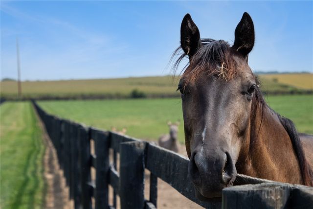 5901 Williams Boulevard SW, Cedar Rapids, IA 52404