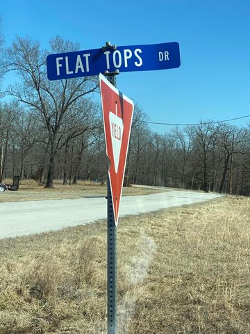 440 Flat Tops Drive, Forsyth, MO 65653