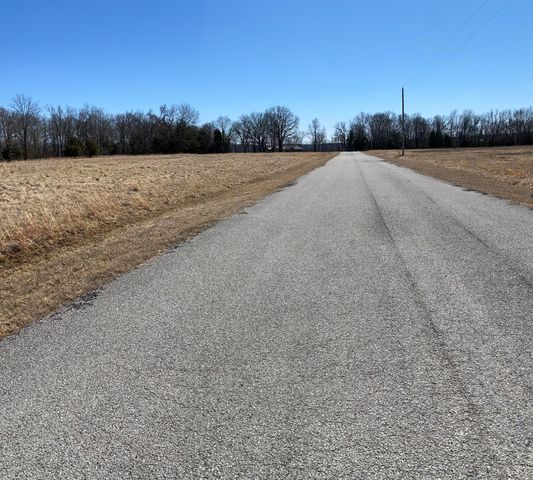 440 Flat Tops Drive, Forsyth, MO 65653