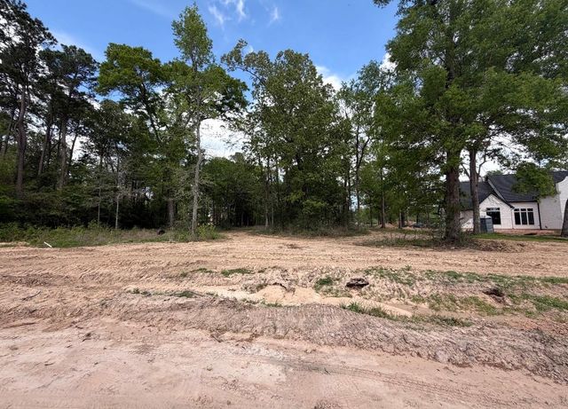 2425 Lonely Creek Circle, Montgomery, TX 77316