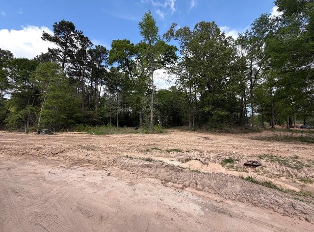 2425 Lonely Creek Circle, Montgomery, TX 77316