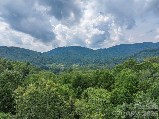 116 Ivy Road, Mills River, NC 28759