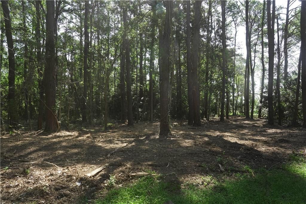 10905 Riverview Nursery Road, Theodore, AL 36582 — photo 4