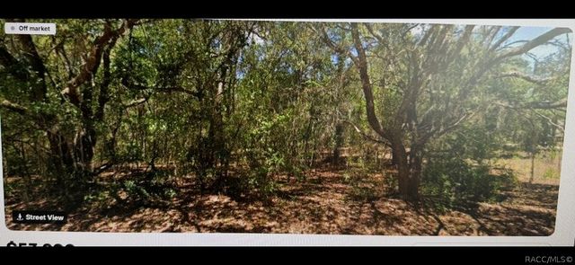 4430 N Wigwam Terrace, Beverly Hills, FL 34465