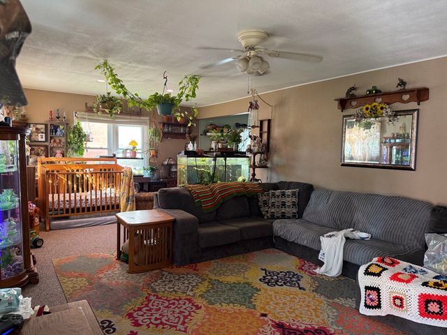 102 Chestnut Street, Varna, IL 61375