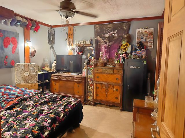 102 Chestnut Street, Varna, IL 61375