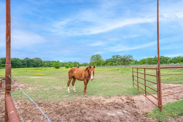 1305 Vz County Road 3821, Wills Point, TX 75169