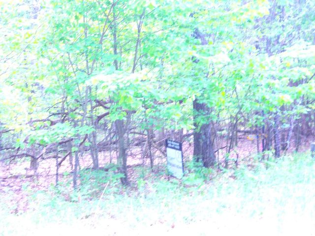 1.34 AC Czech Drive, Friendship, WI 53934
