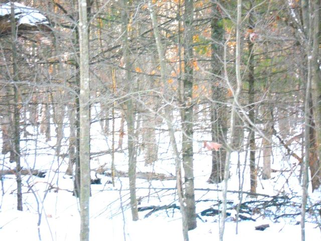 1.34 AC Czech Drive, Friendship, WI 53934