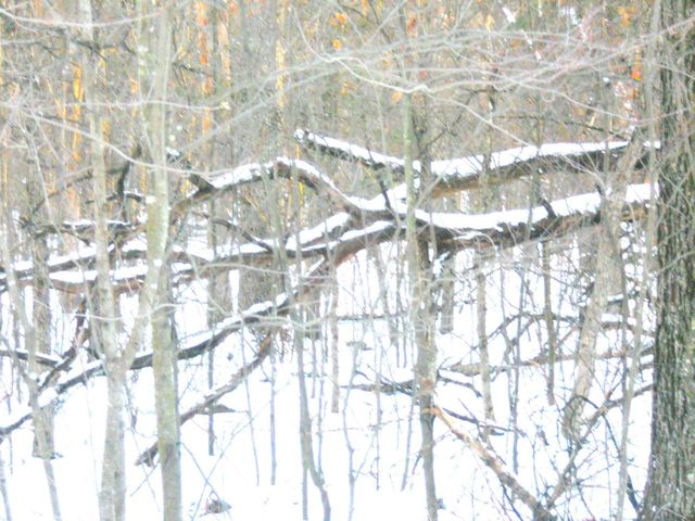 1.34 AC Czech Drive, Friendship, WI 53934
