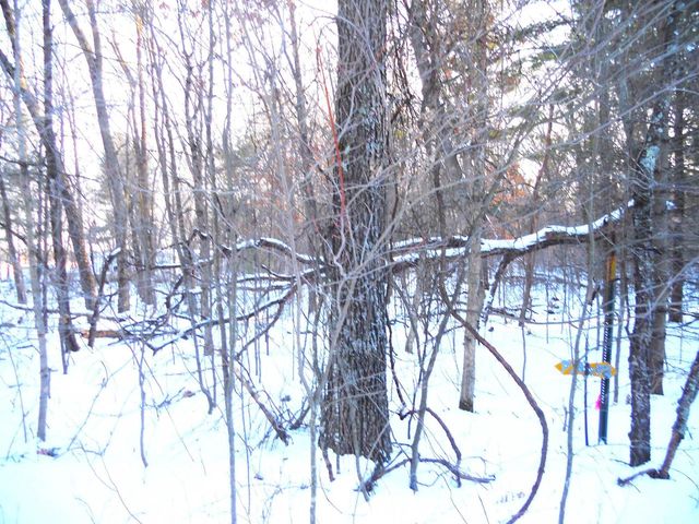 1.34 AC Czech Drive, Friendship, WI 53934