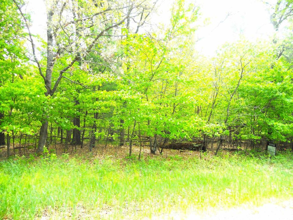 1.34 AC Czech Drive, Friendship, WI 53934
