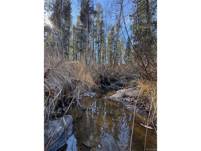 216620 Indian Springs Rd, Conifer, CO 80433