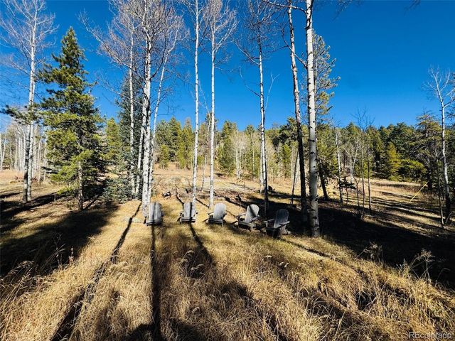216620 Indian Springs Rd, Conifer, CO 80433