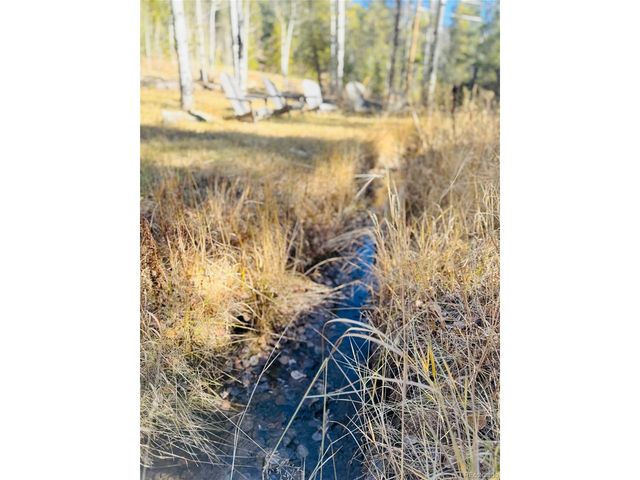 216620 Indian Springs Rd, Conifer, CO 80433