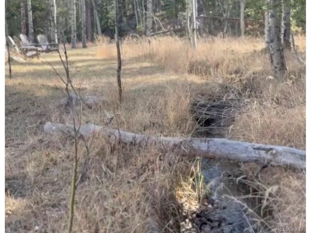216620 Indian Springs Rd, Conifer, CO 80433