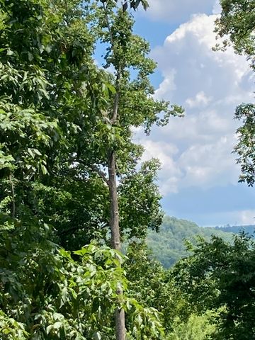 0 Ridgefield LN, Ferrum, VA 24088