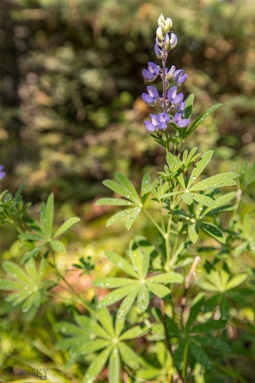 Lot 7 Skywood Road, Big Sky, MT 59716 photo 17