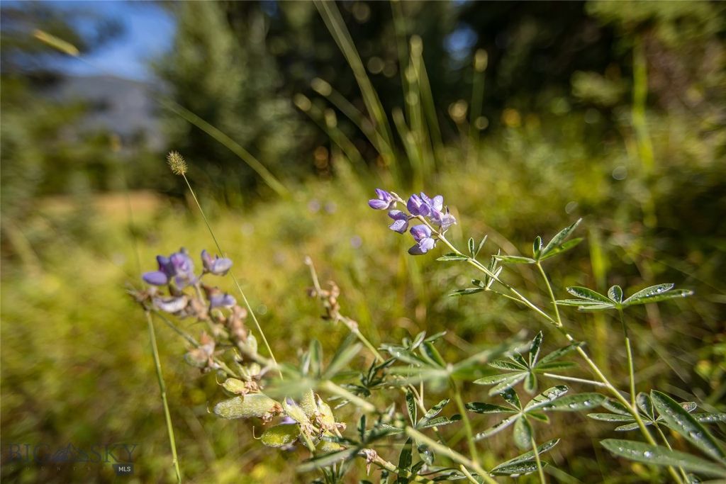 Lot 7 Skywood Road, Big Sky, MT 59716 photo 20
