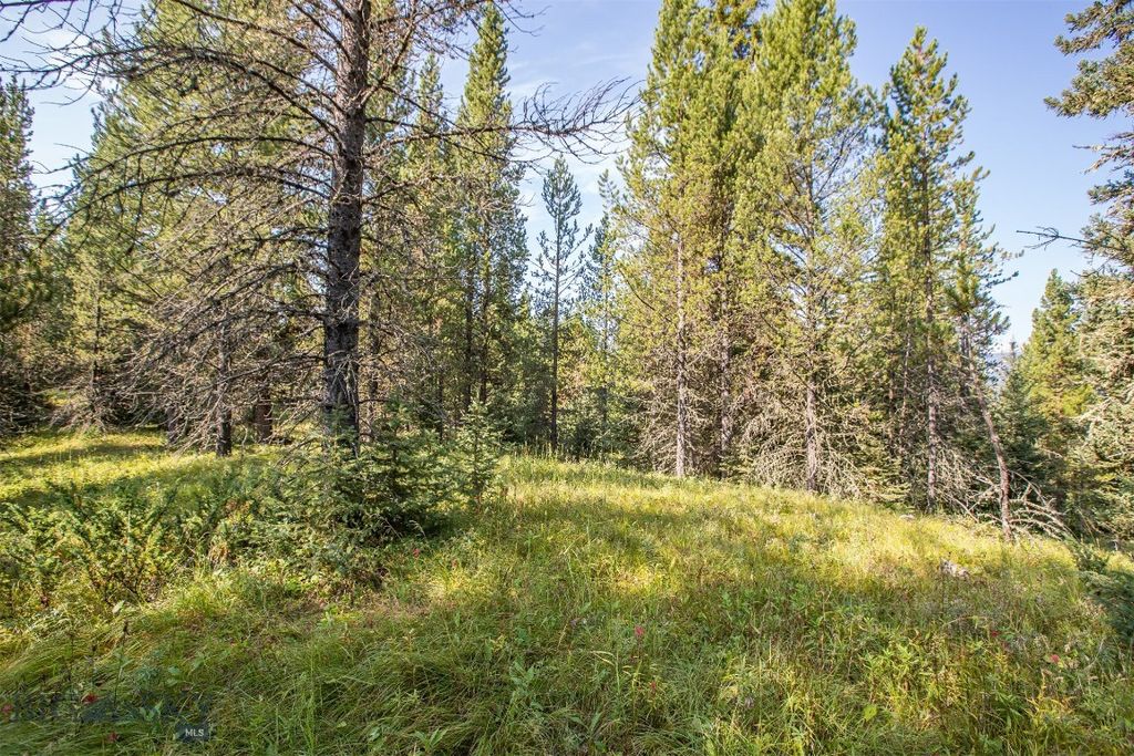 Lot 7 Skywood Road, Big Sky, MT 59716 photo 34