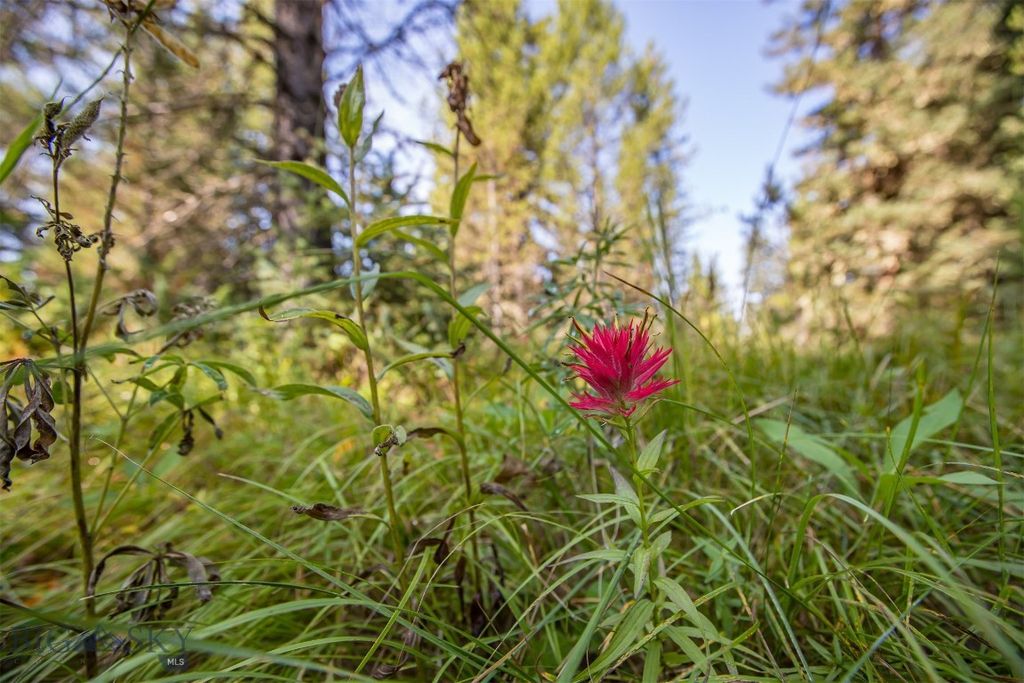 Lot 7 Skywood Road, Big Sky, MT 59716 photo 35