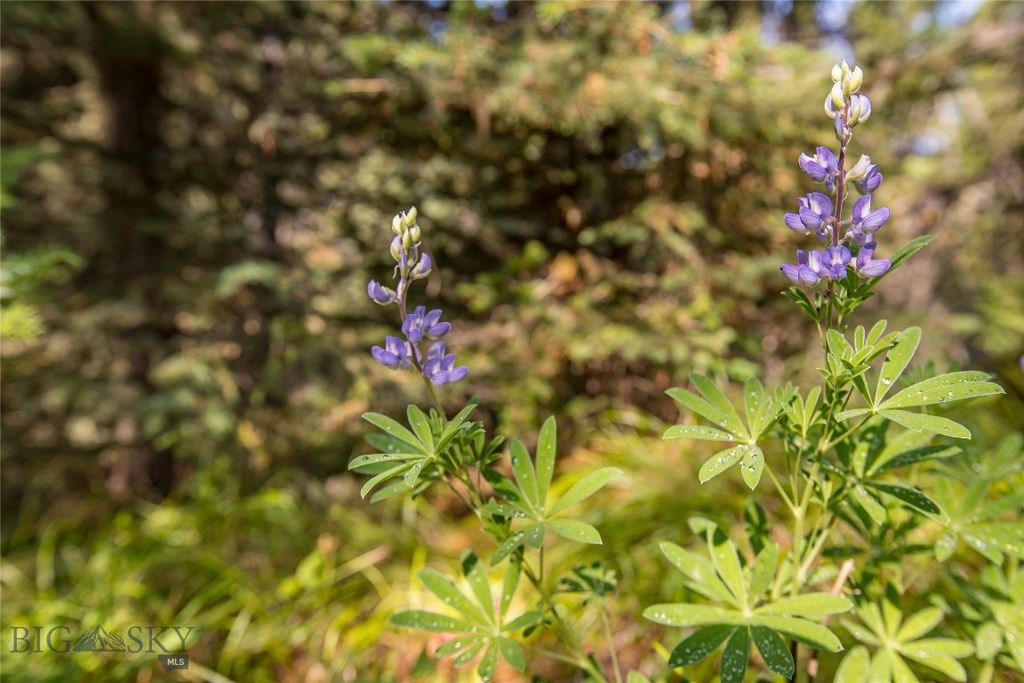 Lot 7 Skywood Road, Big Sky, MT 59716 photo 9