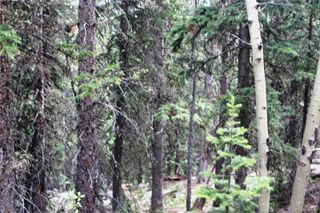 00 Hidden Wilderness Road, Idaho Springs, CO 80452
