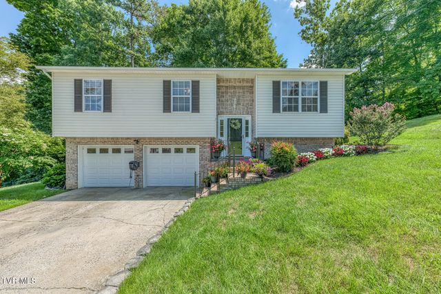 231 Valley Crest Drive, Mount Carmel, TN 37645