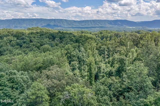 231 Valley Crest Drive, Mount Carmel, TN 37645