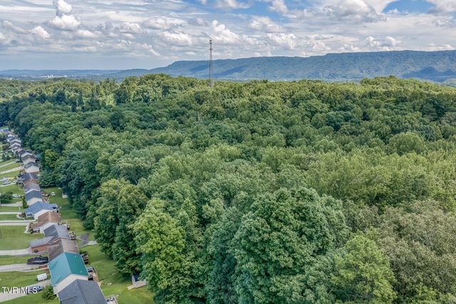 231 Valley Crest Drive, Mount Carmel, TN 37645