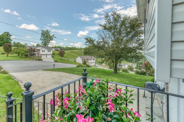 231 Valley Crest Drive, Mount Carmel, TN 37645
