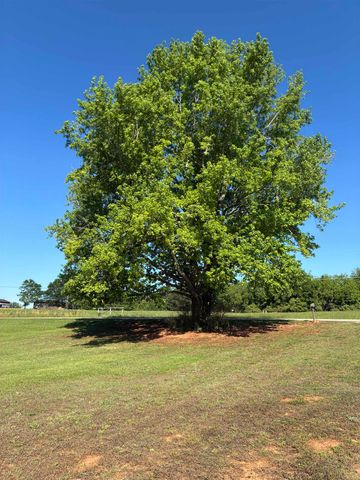 115 Putman Road, Buffalo, SC 29321