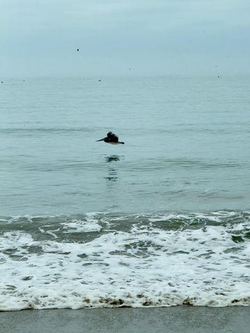 423 Hillcrest Drive, Aptos, CA 95003