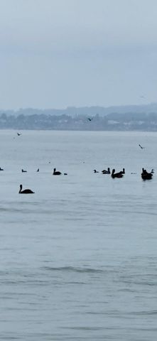 423 Hillcrest Drive, Aptos, CA 95003