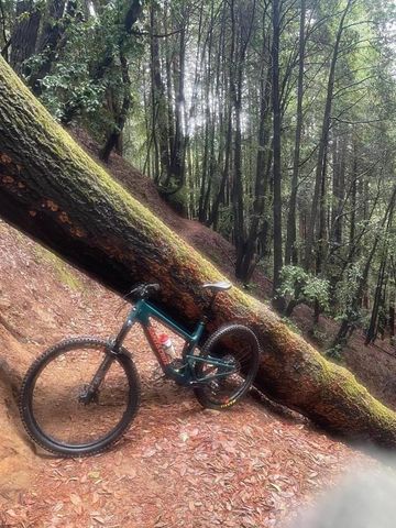 423 Hillcrest Drive, Aptos, CA 95003