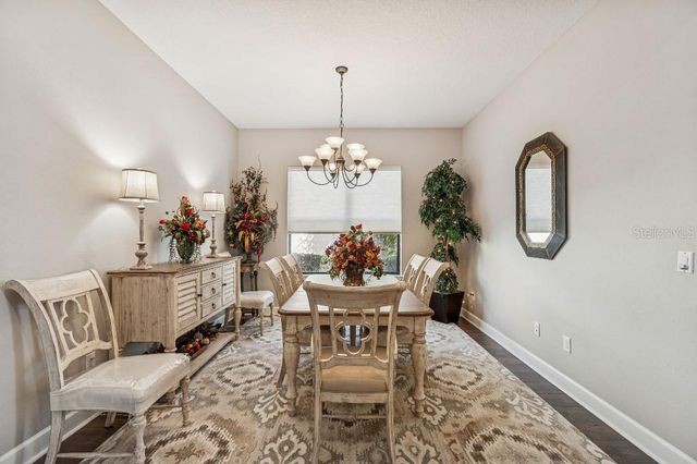 11477 BITOLA DRIVE, Odessa, FL 33556