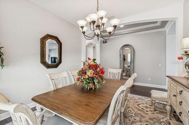 11477 BITOLA DRIVE, Odessa, FL 33556