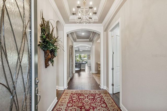 11477 BITOLA DRIVE, Odessa, FL 33556