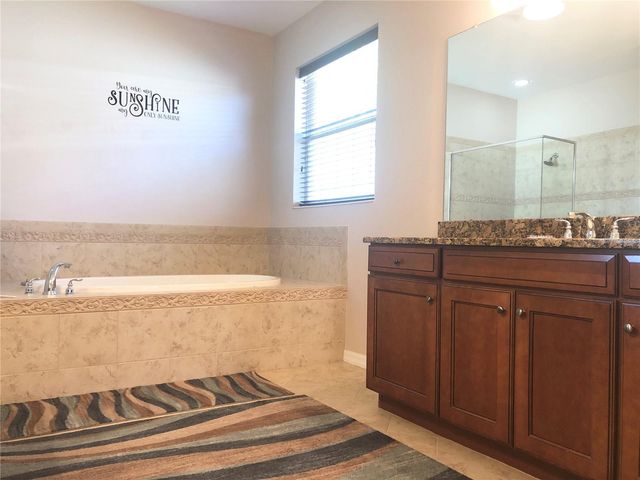 19125 SWEET CLOVER LANE, Tampa, FL 33647