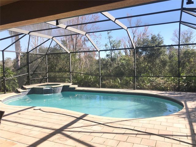 19125 SWEET CLOVER LANE, Tampa, FL 33647