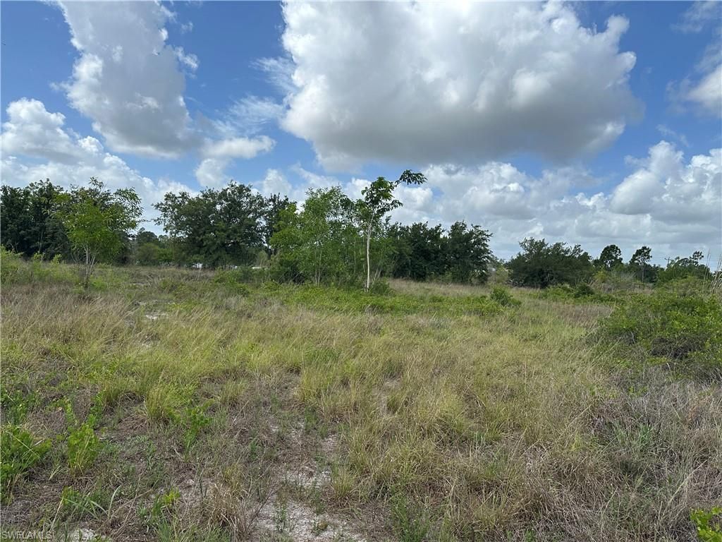 908 Panda DR, LEHIGH ACRES, FL 33974 — photo 2