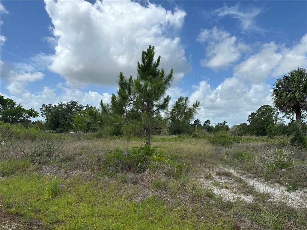 908 Panda DR, LEHIGH ACRES, FL 33974 — photo 3