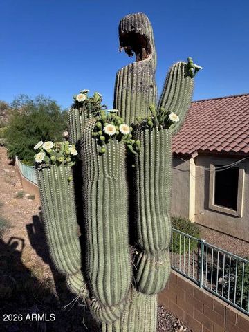 9526 E Obsidian Court, Gold Canyon, AZ 85118