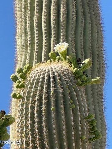 9526 E Obsidian Court, Gold Canyon, AZ 85118