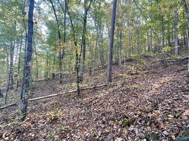 31,32,33 Maverick Drive, Ashville, AL 35953