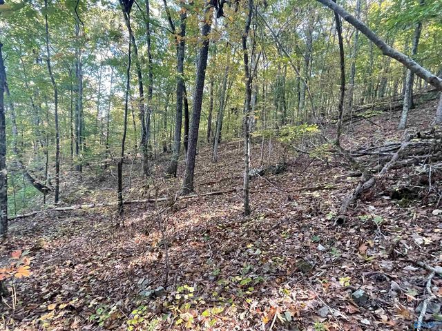 31,32,33 Maverick Drive, Ashville, AL 35953