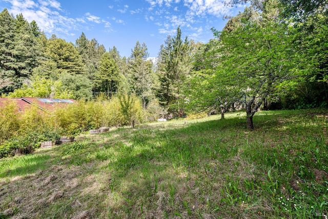 15715 Drake Rd, Guerneville, CA 95446