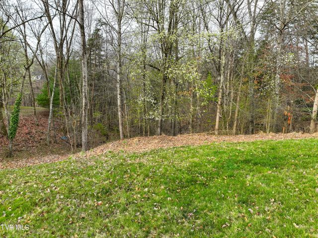 1804 Buckingham Court, Kingsport, TN 37660